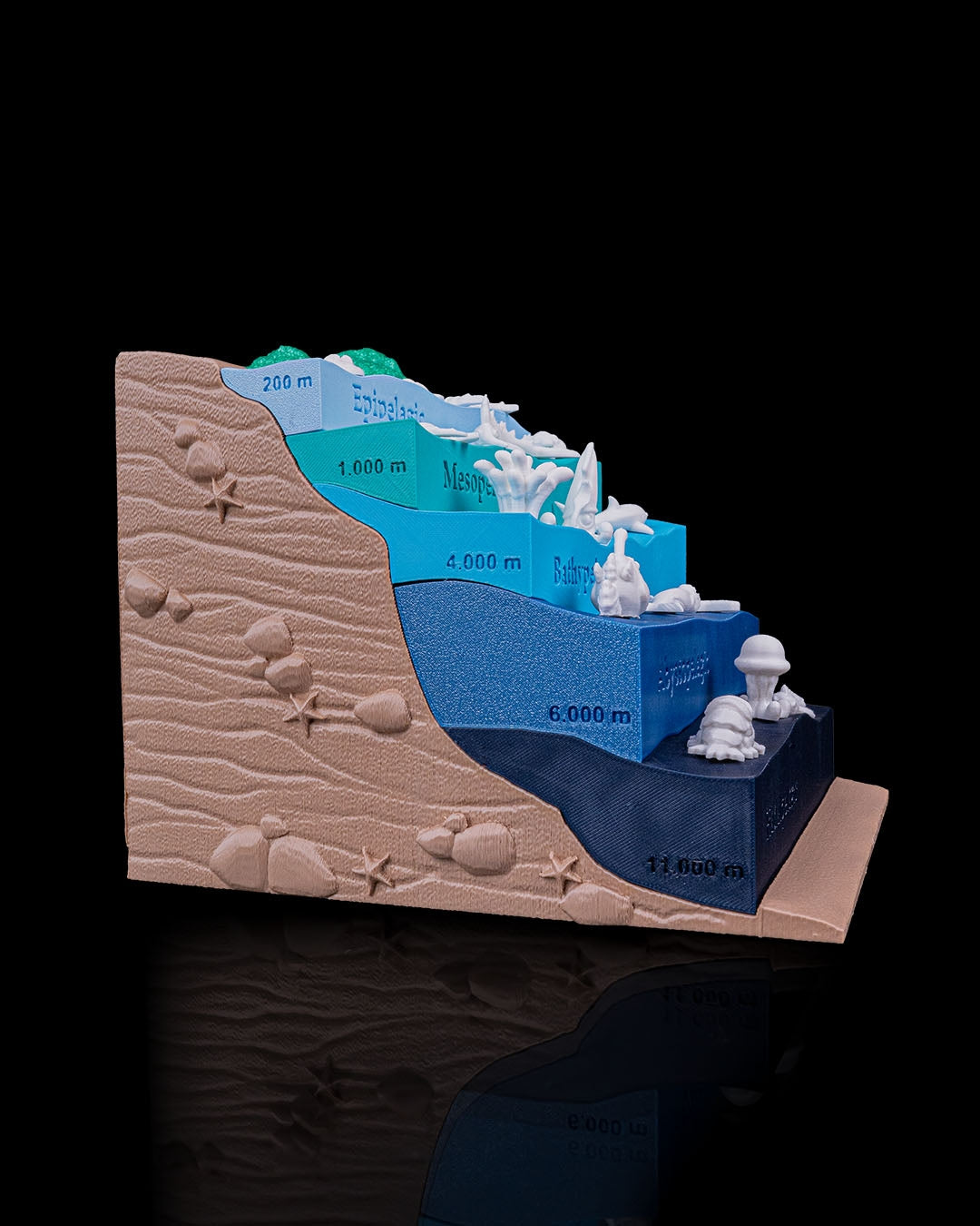 Layered Ocean Depth Model – 3D Printed Sea Zone Display with Marine Animals | Educational Geography Toy