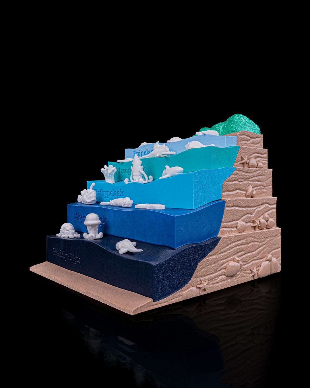 Layered Ocean Depth Model – 3D Printed Sea Zone Display with Marine Animals | Educational Geography Toy