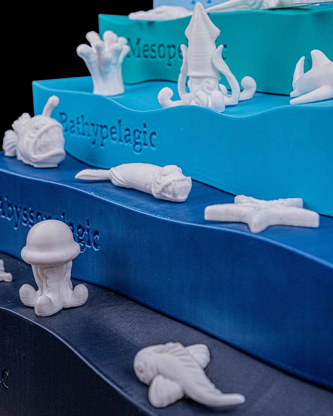 Layered Ocean Depth Model – 3D Printed Sea Zone Display with Marine Animals | Educational Geography Toy