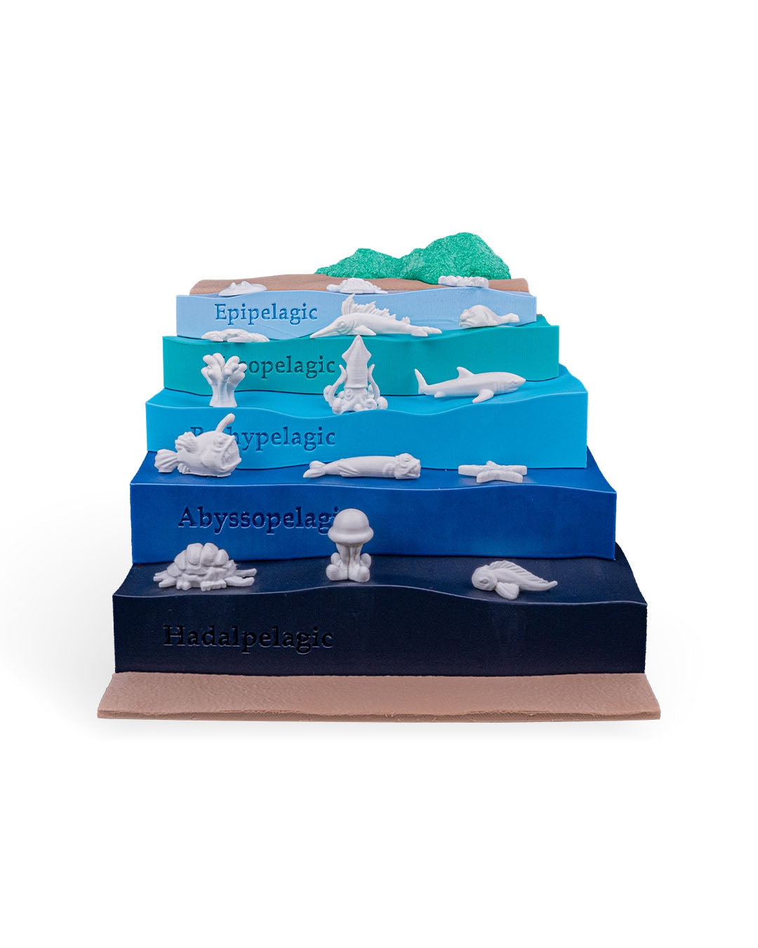 Layered Ocean Depth Model – 3D Printed Sea Zone Display with Marine Animals | Educational Geography Toy