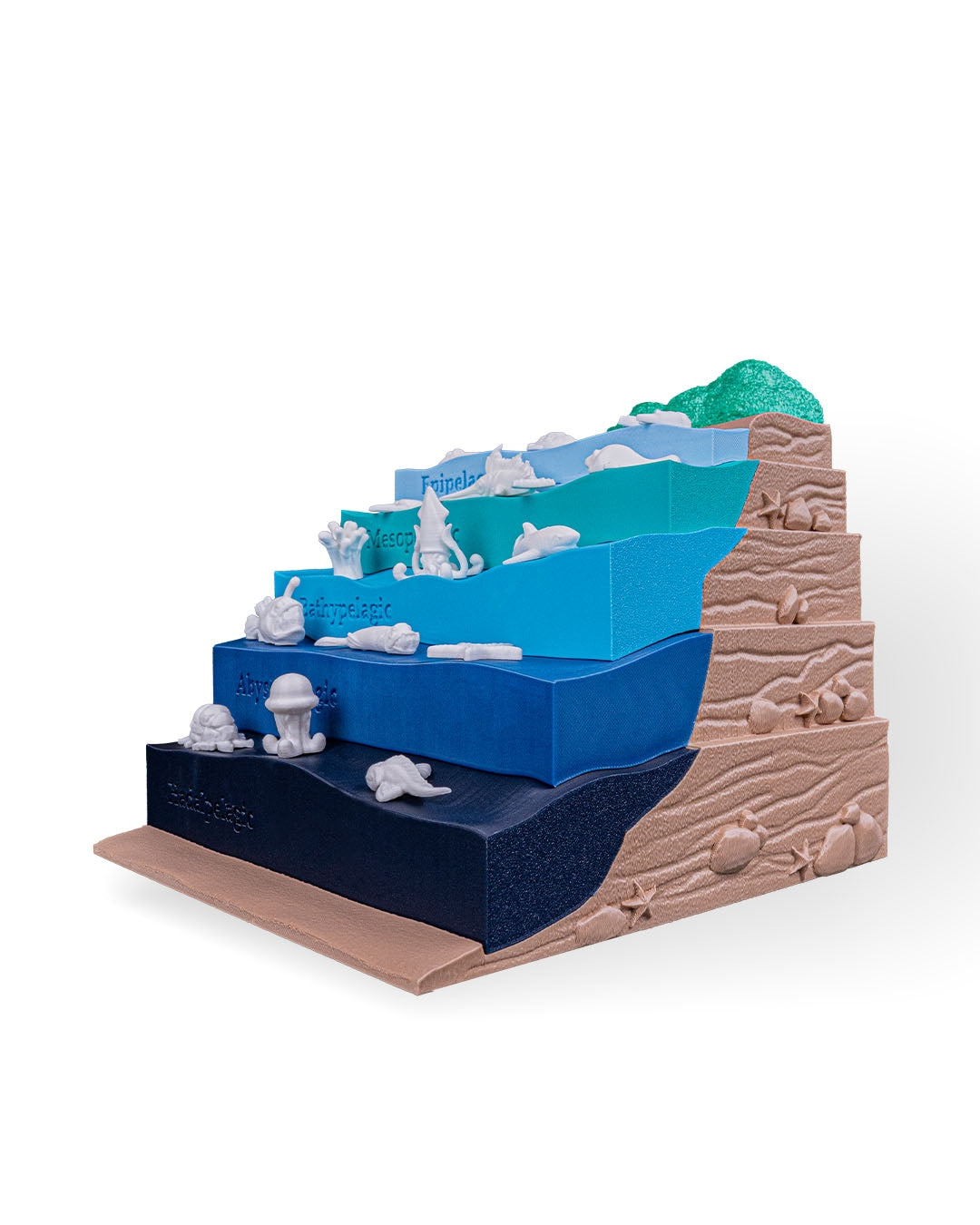 Layered Ocean Depth Model – 3D Printed Sea Zone Display with Marine Animals | Educational Geography Toy