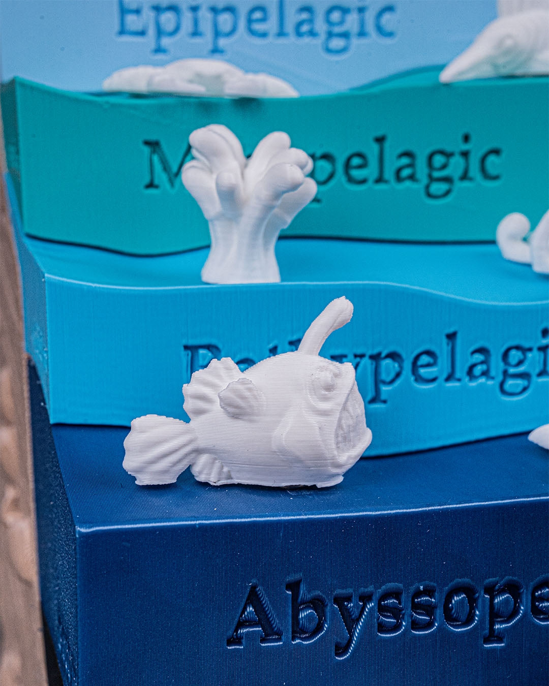 Layered Ocean Depth Model – 3D Printed Sea Zone Display with Marine Animals | Educational Geography Toy