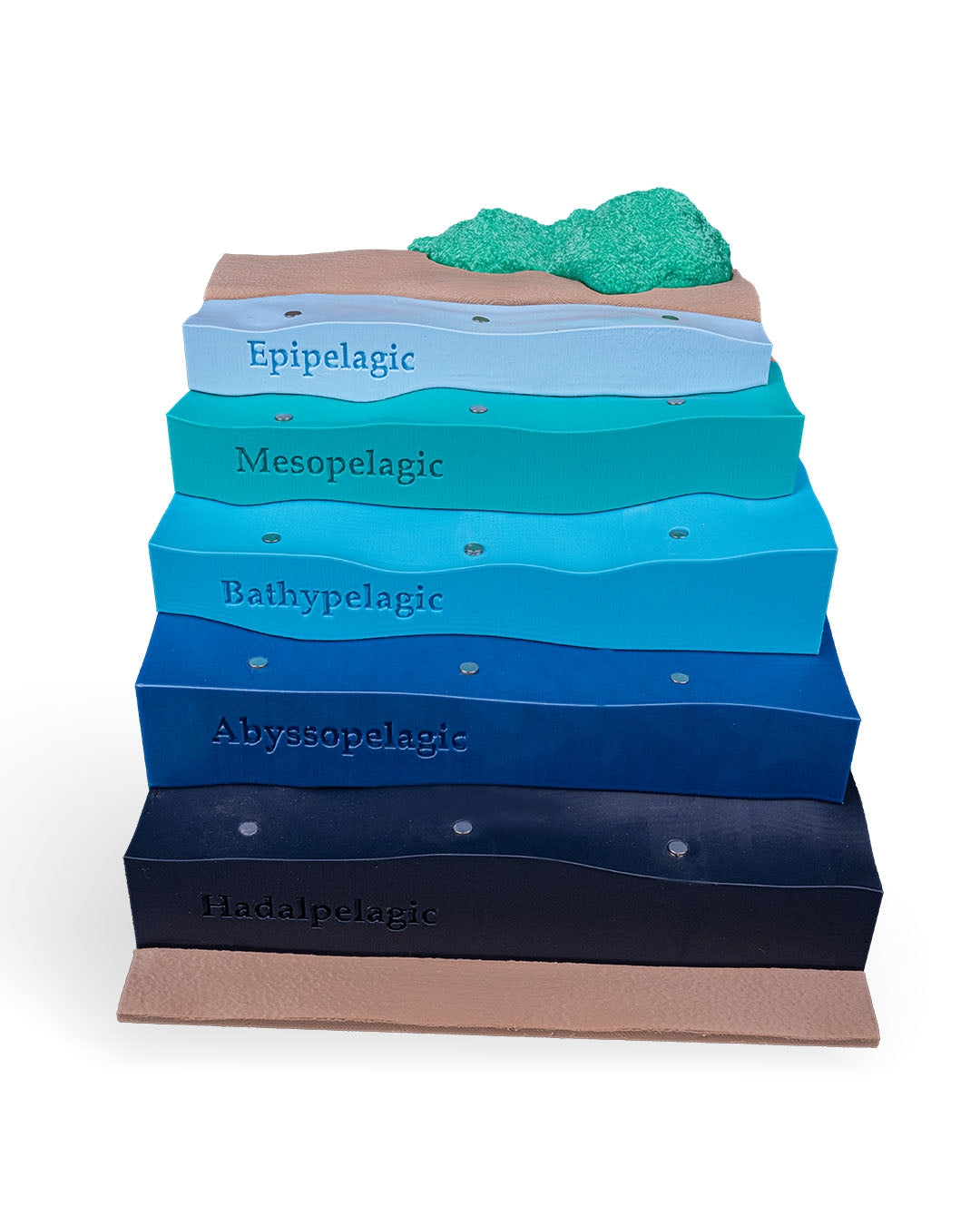 Layered Ocean Depth Model – 3D Printed Sea Zone Display with Marine Animals | Educational Geography Toy