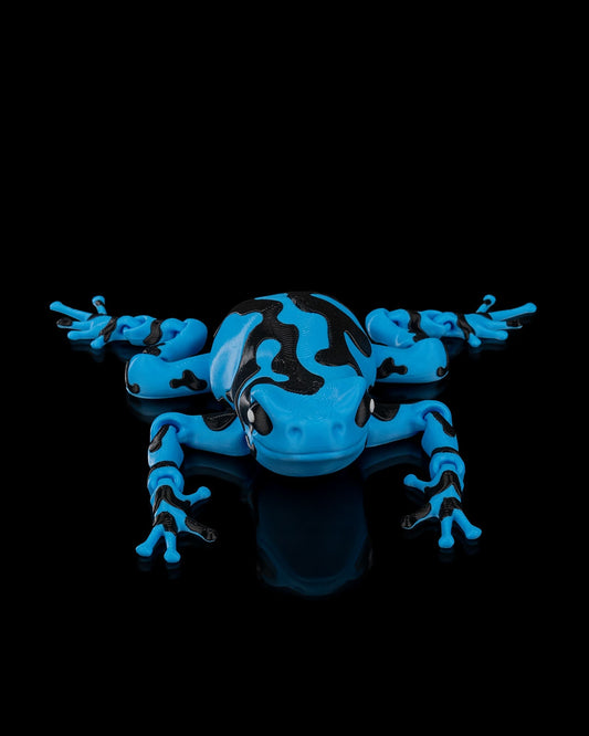 Darcy, the Poison Dart Frog