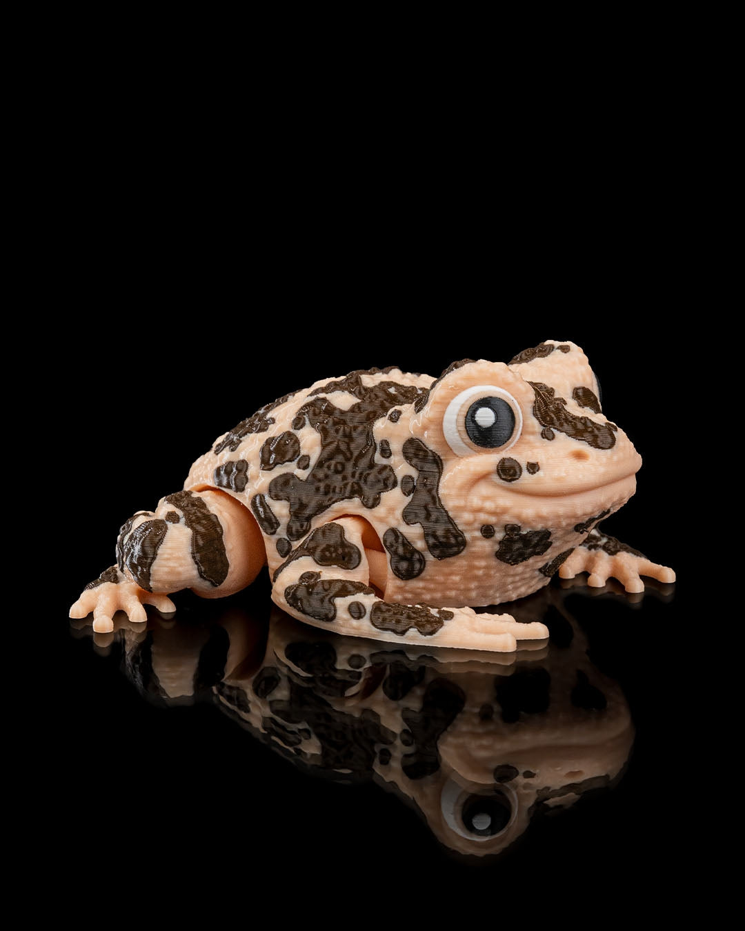 Grace, the American Ground Frog