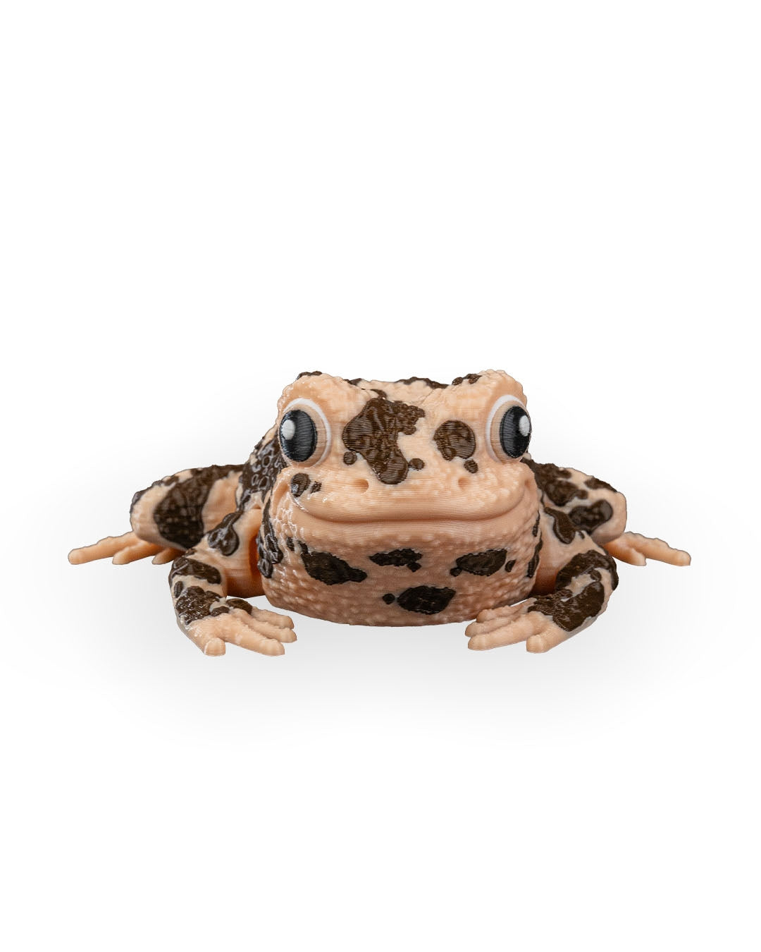 Grace, the American Ground Frog