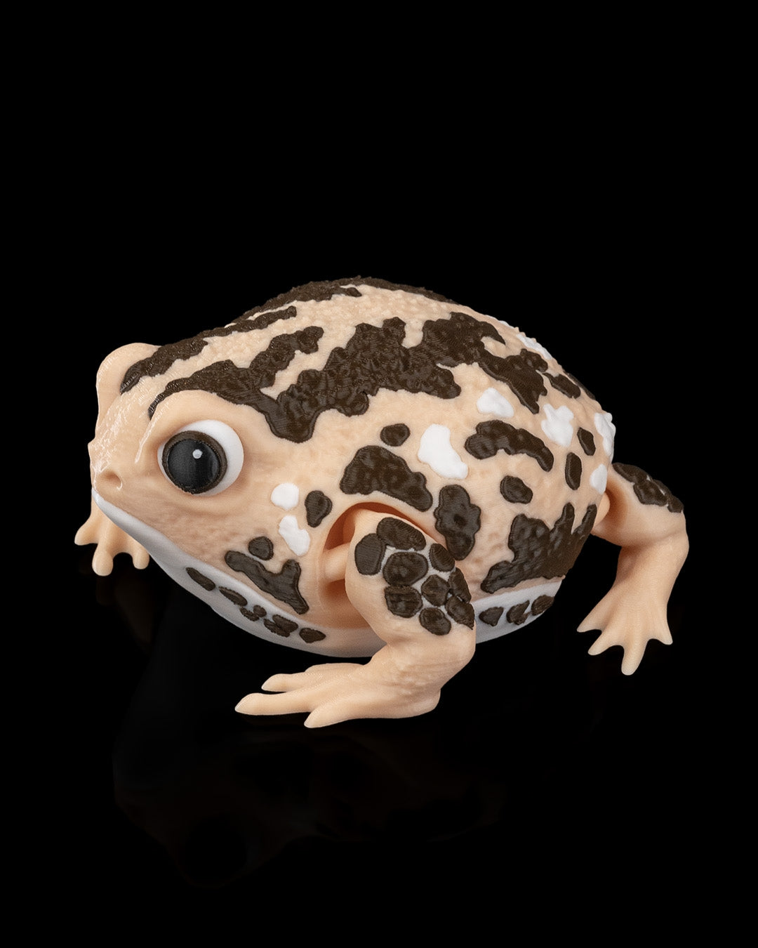 Humphrey the Rain Frog