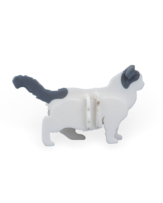 Ragdoll-Kit-Karte 