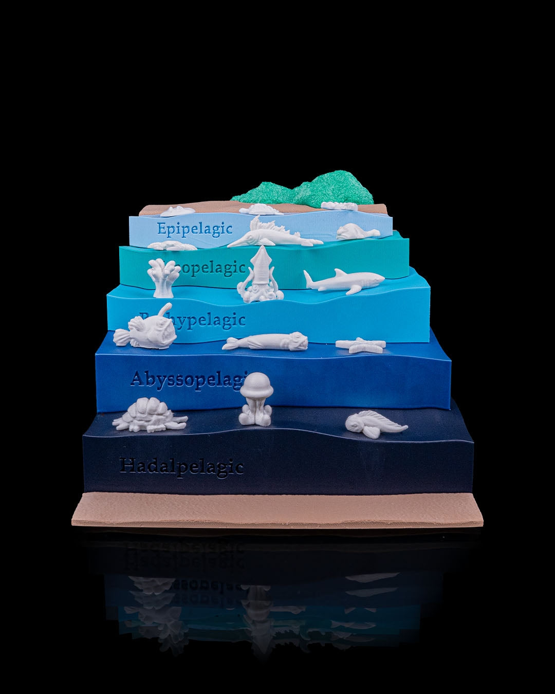 Layered Ocean Depth Model – 3D Printed Sea Zone Display with Marine Animals | Educational Geography Toy