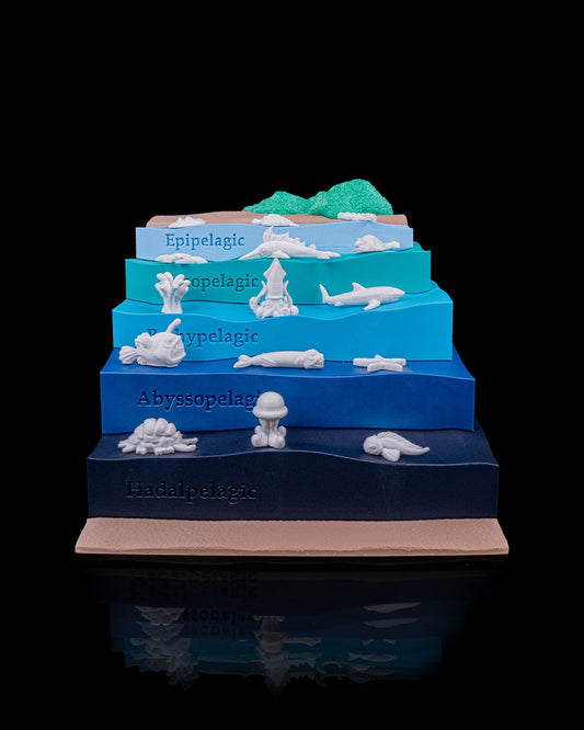 Layered Ocean Depth Model – 3D Printed Sea Zone Display with Marine Animals | Educational Geography Toy
