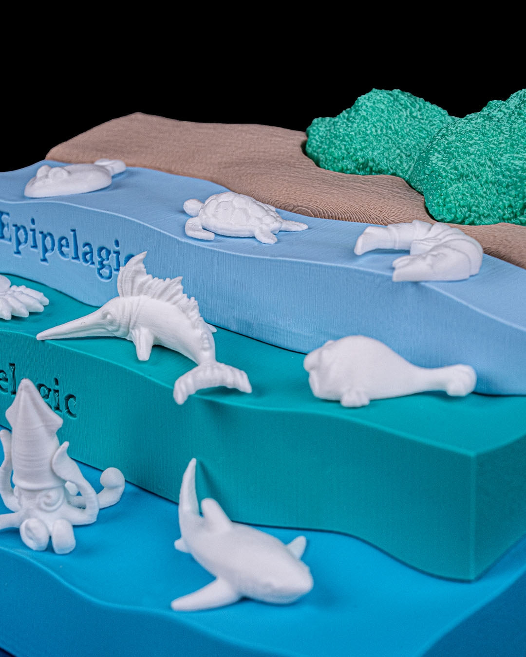 Layered Ocean Depth Model – 3D Printed Sea Zone Display with Marine Animals | Educational Geography Toy