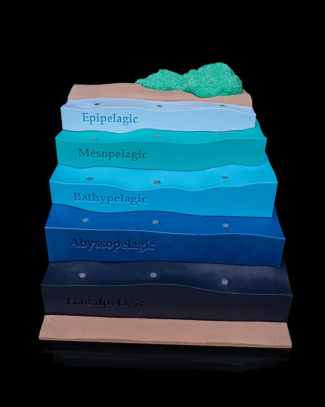 Layered Ocean Depth Model – 3D Printed Sea Zone Display with Marine Animals | Educational Geography Toy