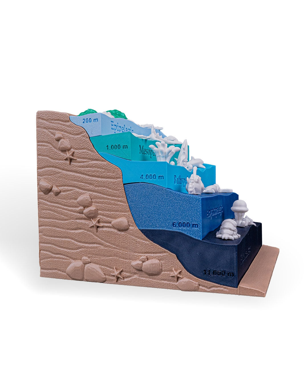 Layered Ocean Depth Model – 3D Printed Sea Zone Display with Marine Animals | Educational Geography Toy