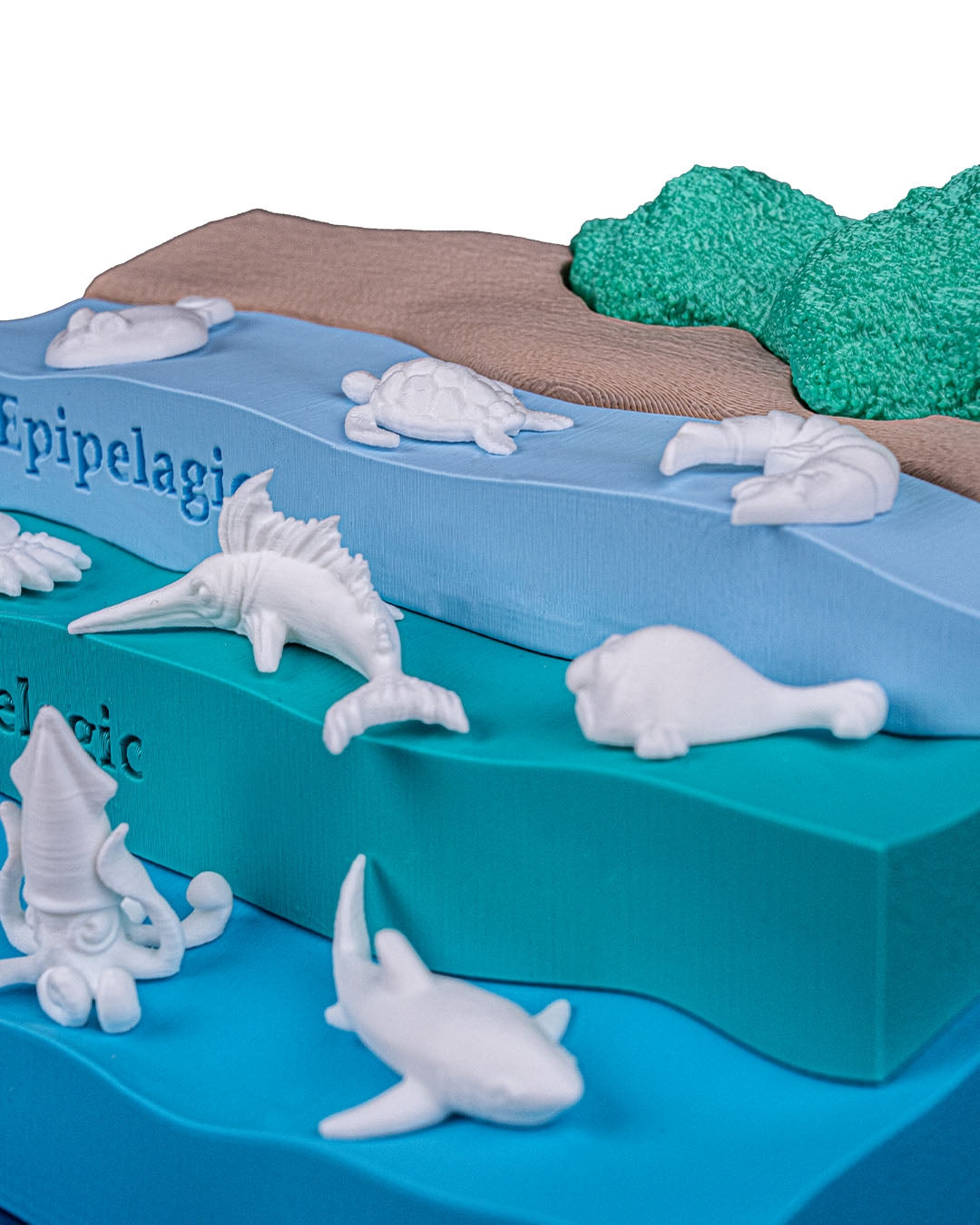 Layered Ocean Depth Model – 3D Printed Sea Zone Display with Marine Animals | Educational Geography Toy