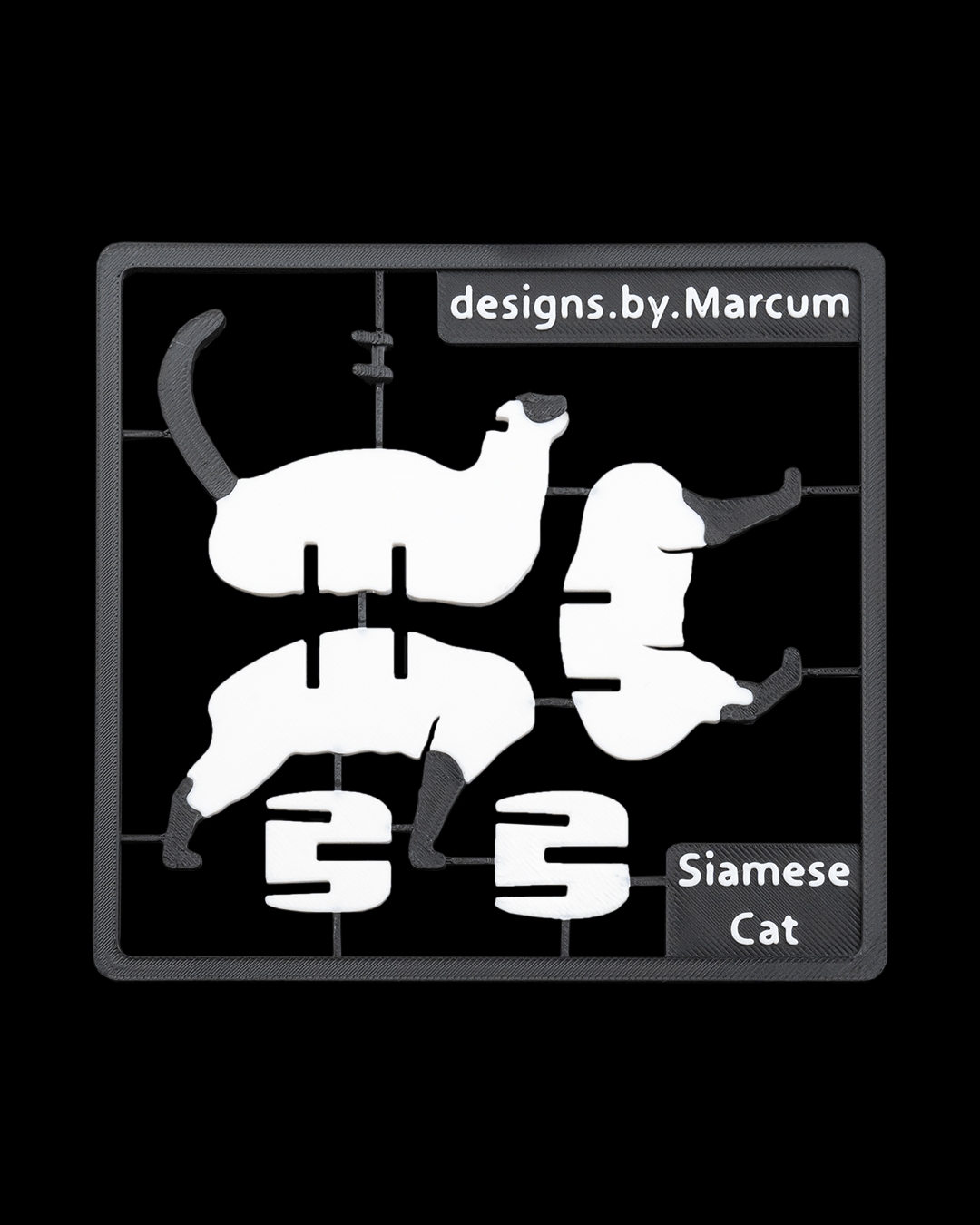 Carte de kit de chat siamois 