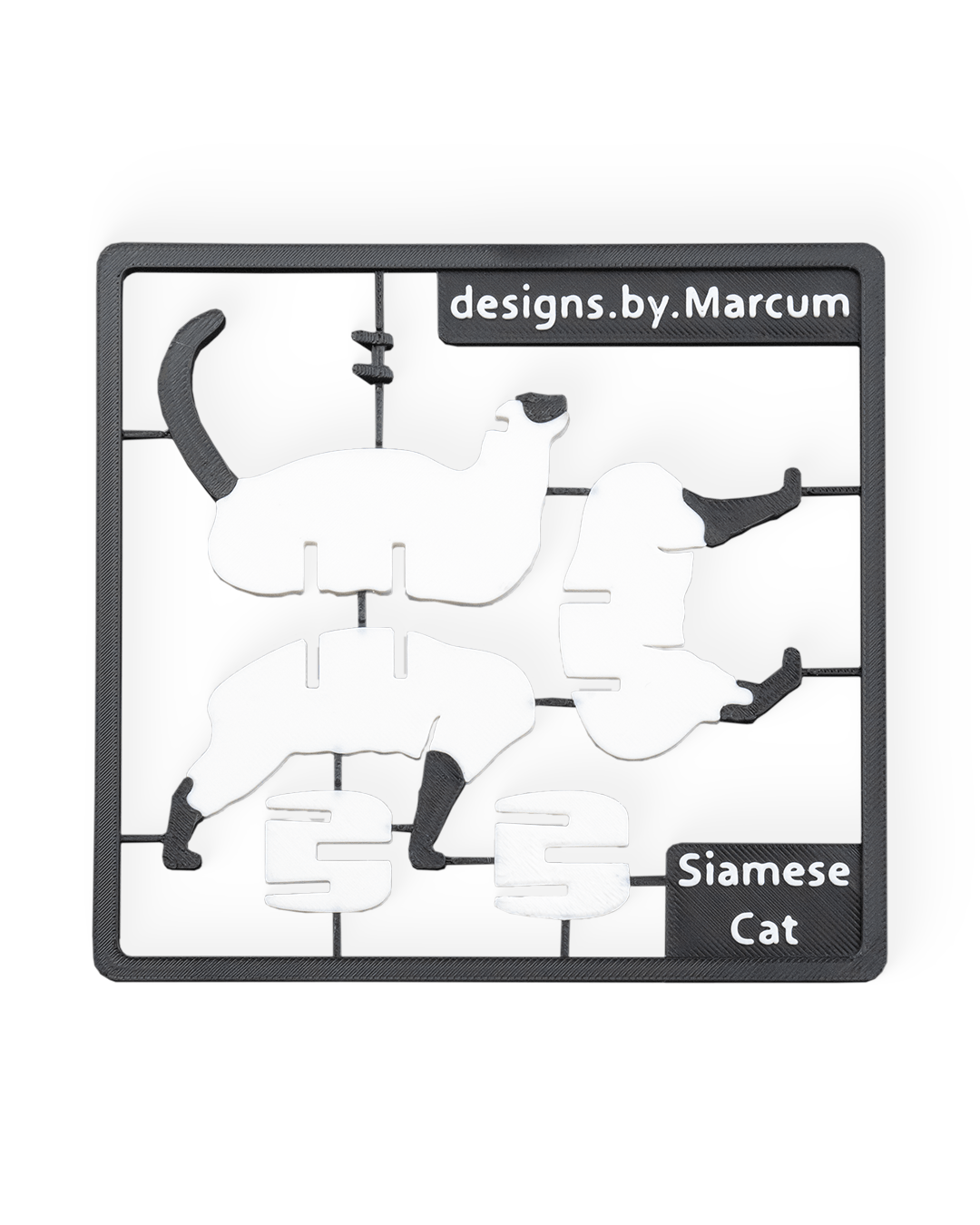 Carte de kit de chat siamois 