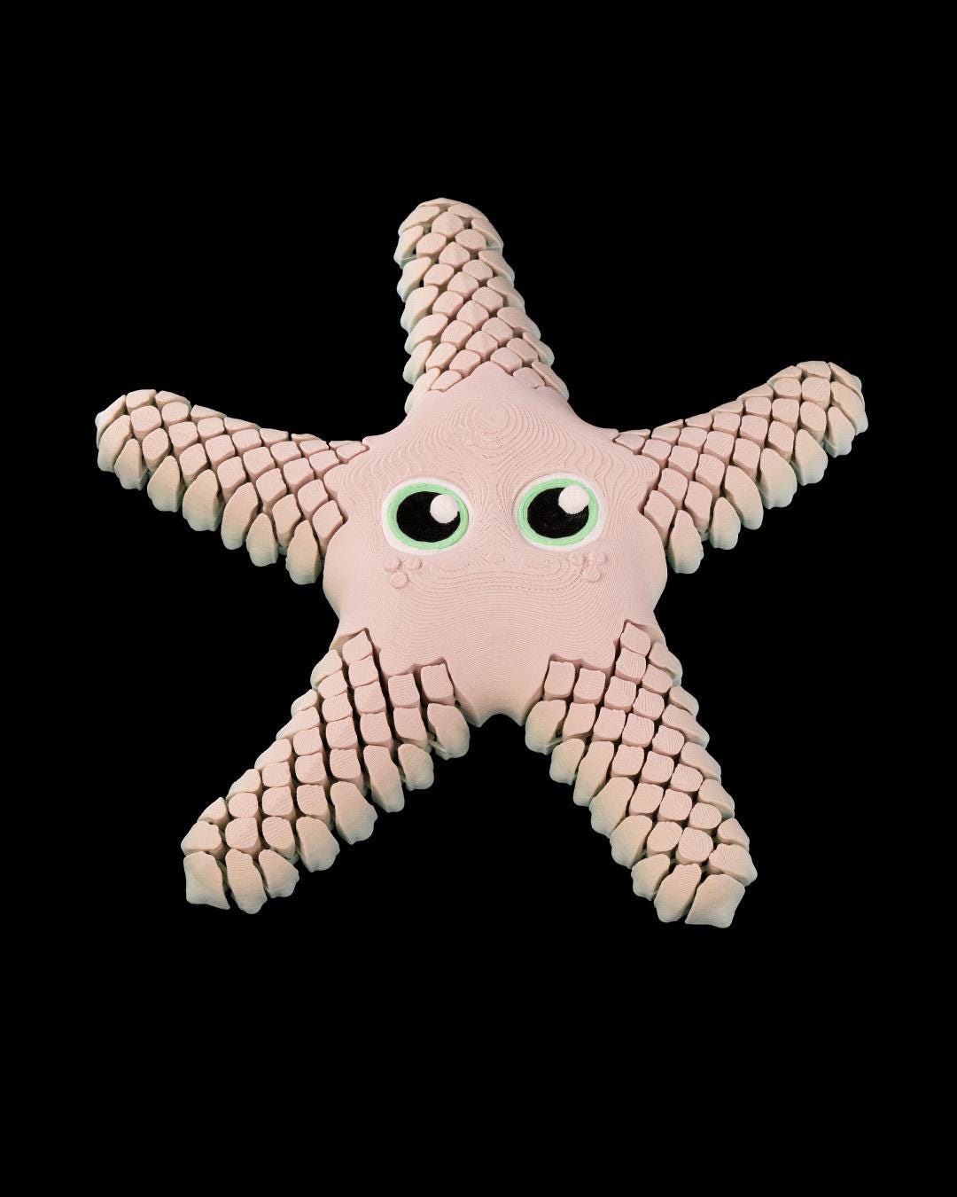 Articulated Starfish Fidget Toy - 3D Printed | Fidget Toys | Articulated Sea Life