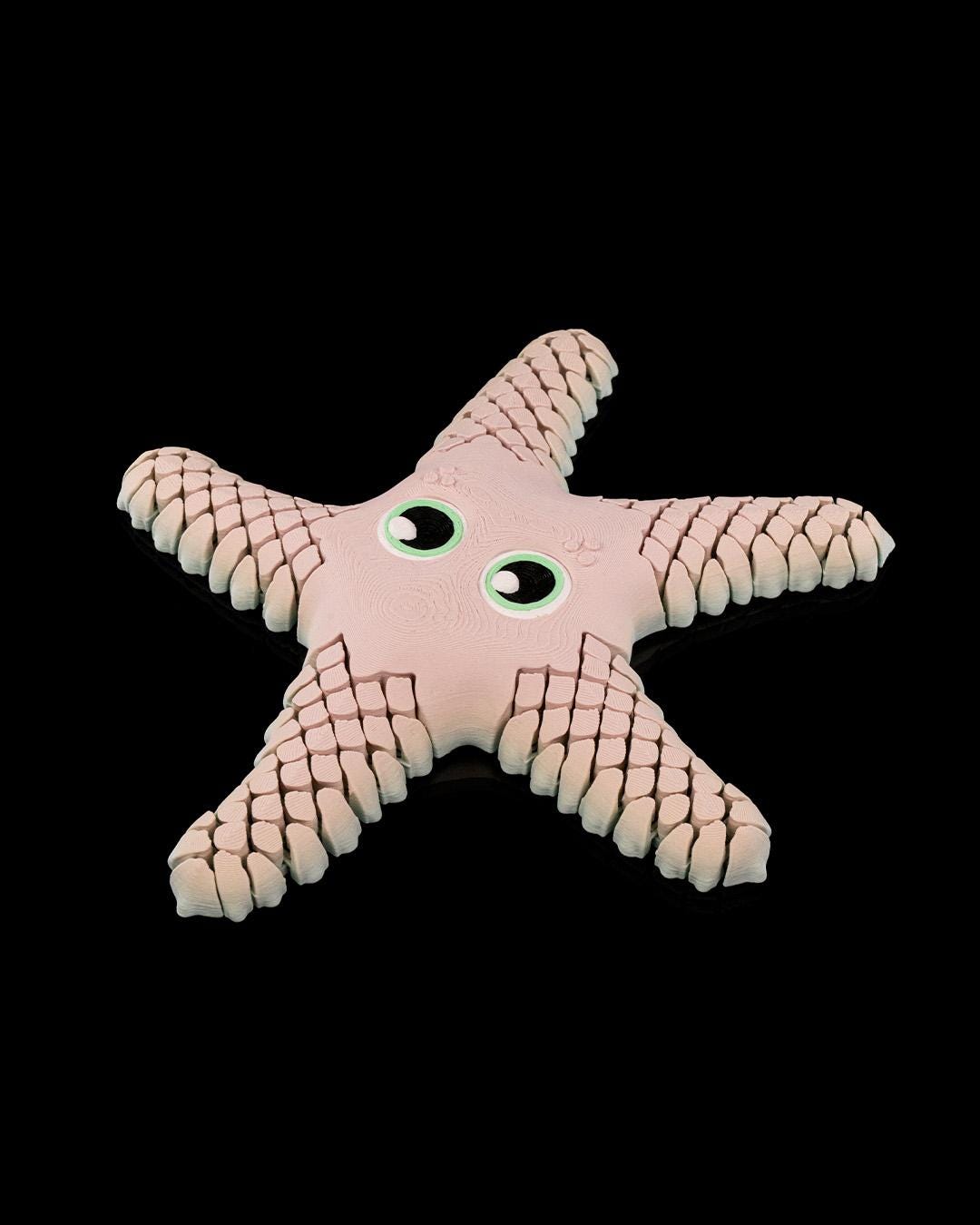 Articulated Starfish Fidget Toy - 3D Printed | Fidget Toys | Articulated Sea Life